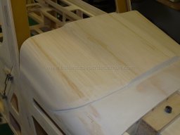 Canopy (25)